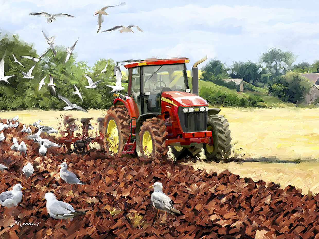 Autumn Ploughing