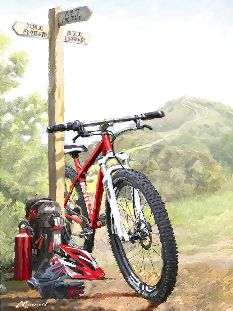 Mountain Bike