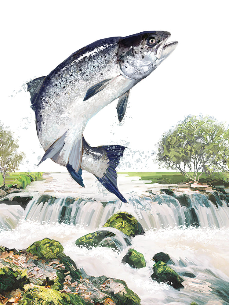 Leaping Salmon handcrafted art work on canvas or framed canvas prints by The Macneil Studio 