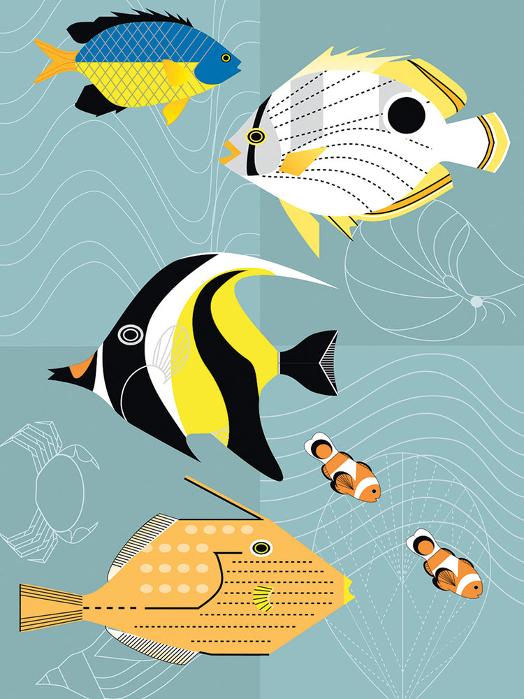 Tropical Fish Squares