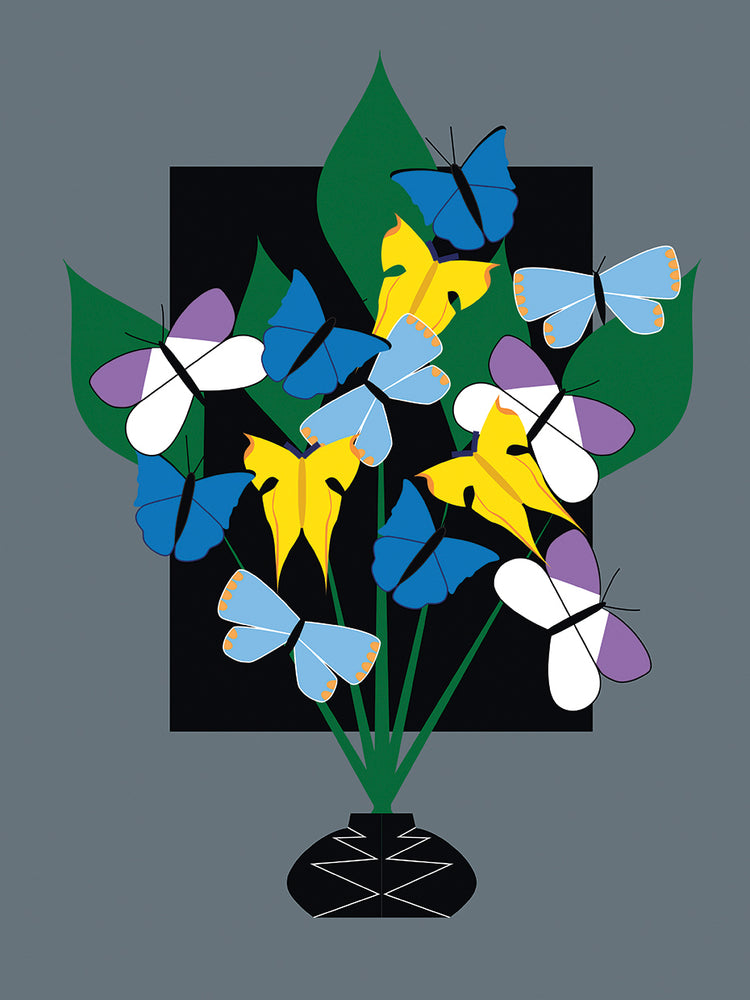 Butterfly Arrangement