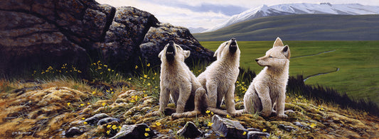 Three Wolves Canvas Art