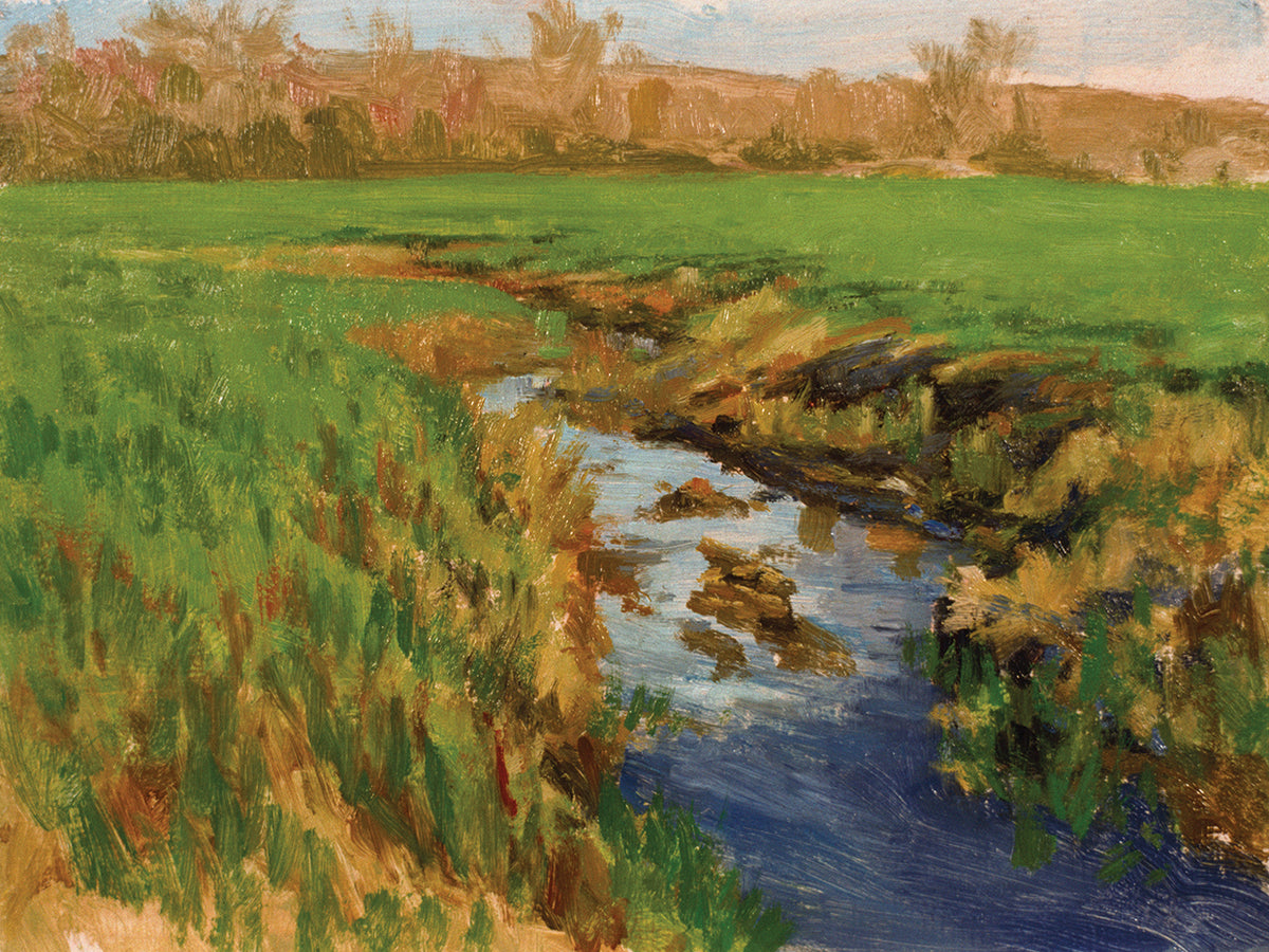 Spring Fields