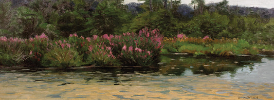 Townsend's Pond Canvas Art