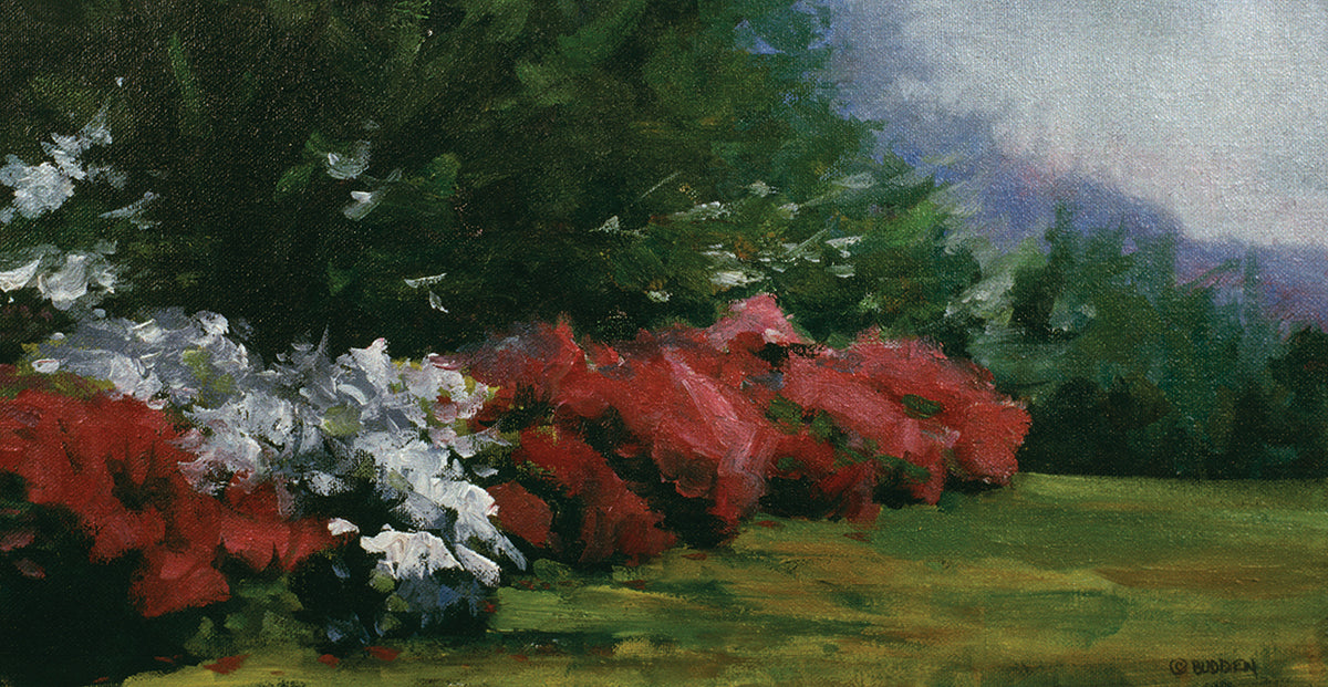 Floral Fantasy