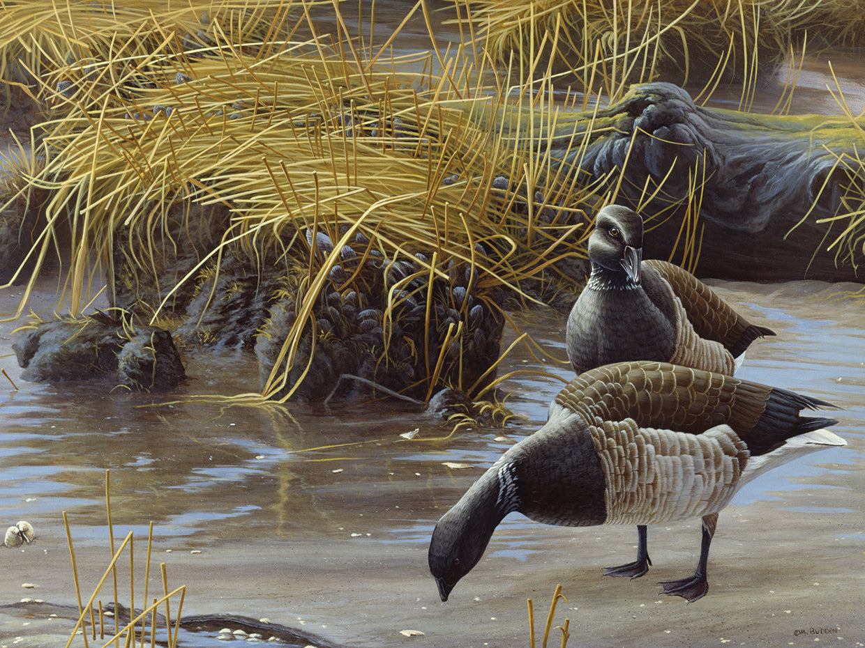 Nauesink River Mates