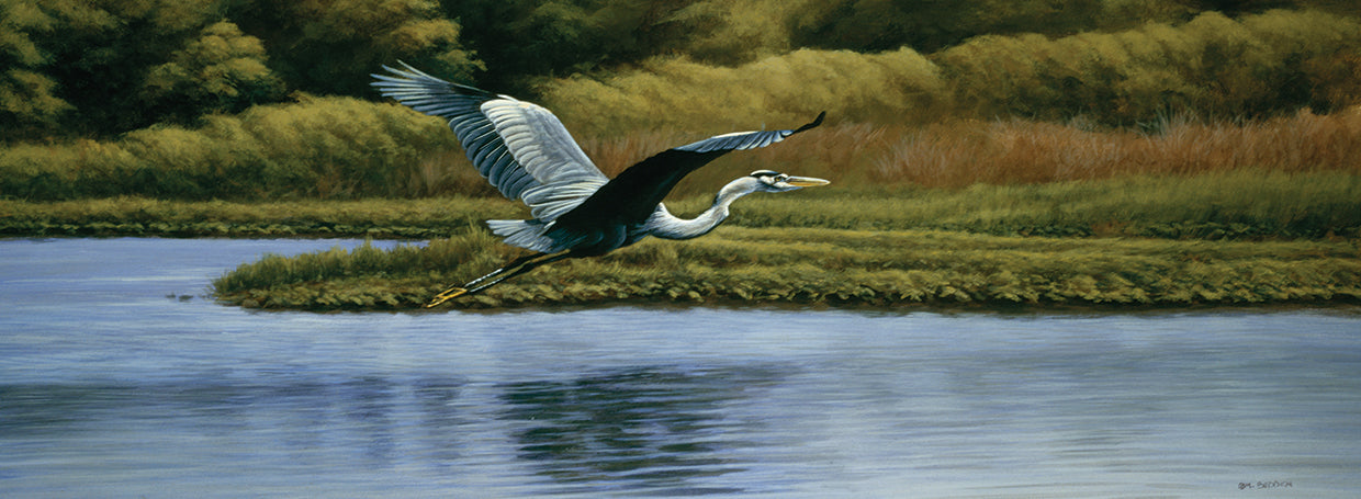 Back Water Fisherman