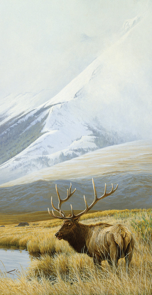 Autumn Uprights, Elk Canvas Print