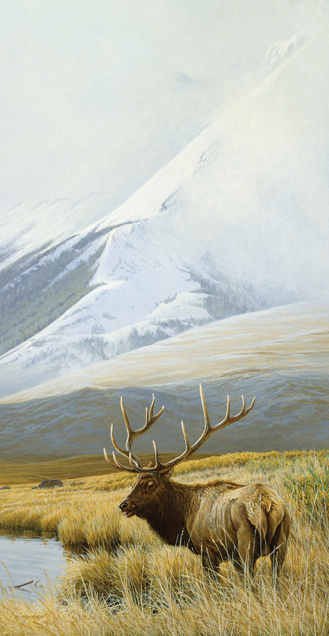 Autumn Uprights, Elk