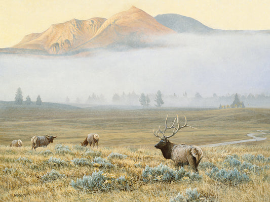 Autumn Elk Canvas Art