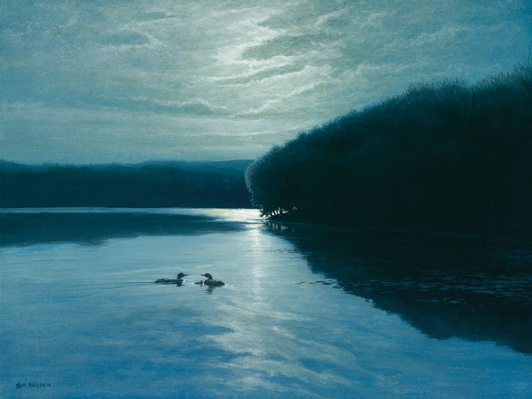 Moonlight Loons