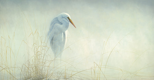 Solitude Egret Canvas Art