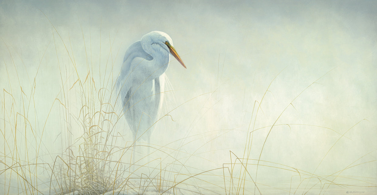 Solitude Egret