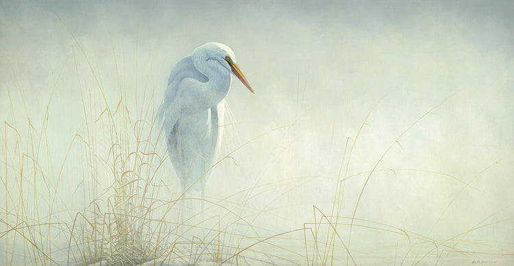 Solitude Egret