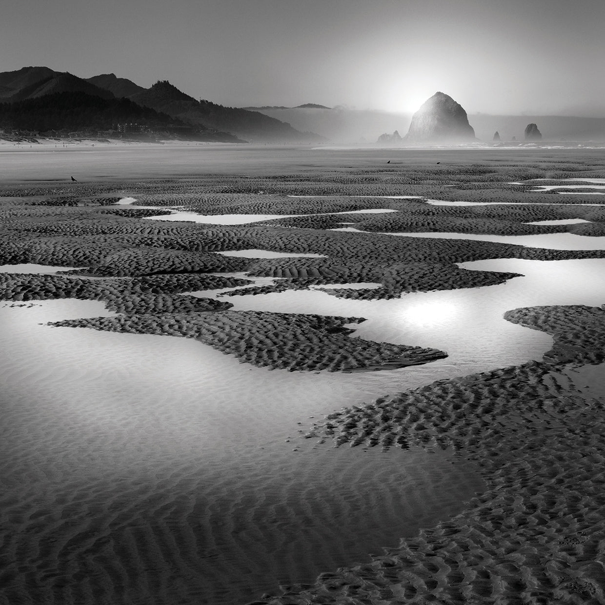 Path handcrafted art work on canvas or framed canvas prints by Moises Levy 