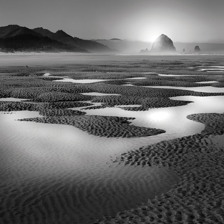 Path handcrafted art work on canvas or framed canvas prints by Moises Levy 