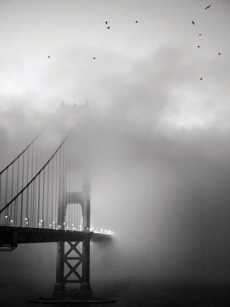 Golden Gate and Birds handcrafted art work on canvas or framed canvas prints by Moises Levy 