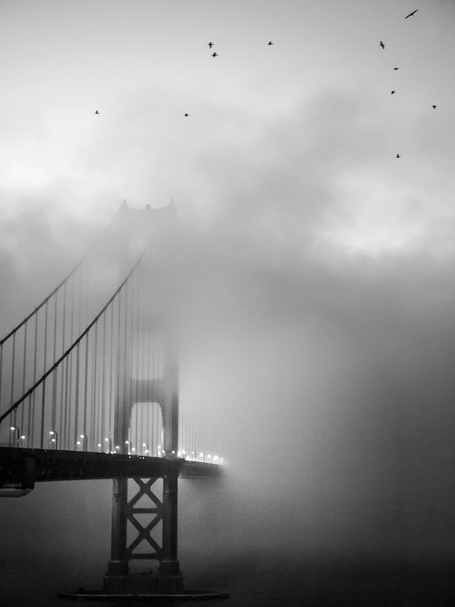 Golden Gate and Birds handcrafted art work on canvas or framed canvas prints by Moises Levy 