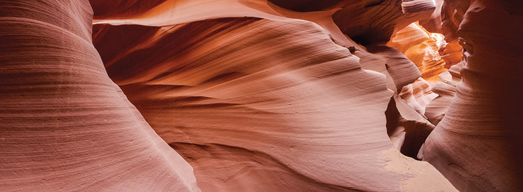 Antelope Panorama 1 handcrafted art work on canvas or framed canvas prints by Moises Levy 