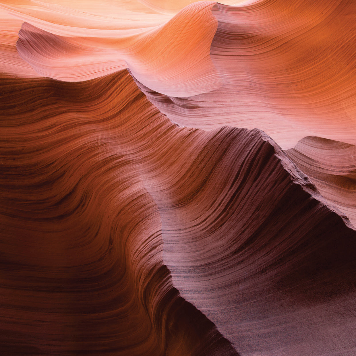 Smooth I handcrafted art work on canvas or framed canvas prints by Moises Levy 