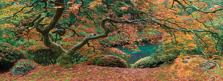 The Tree Final handcrafted art work on canvas or framed canvas prints by Moises Levy 