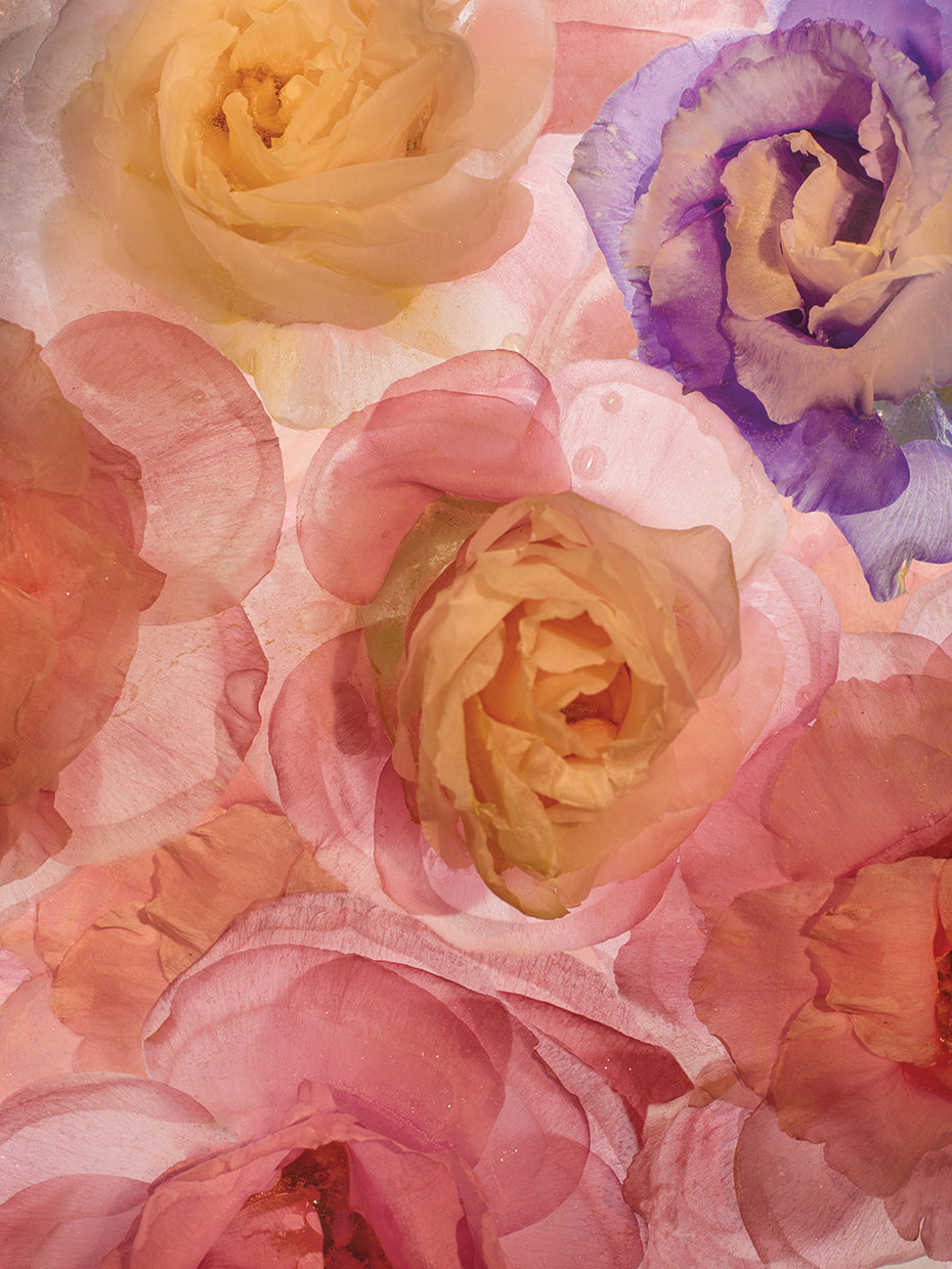 Rosas Compo 2 handcrafted art work on canvas or framed canvas prints by Moises Levy 