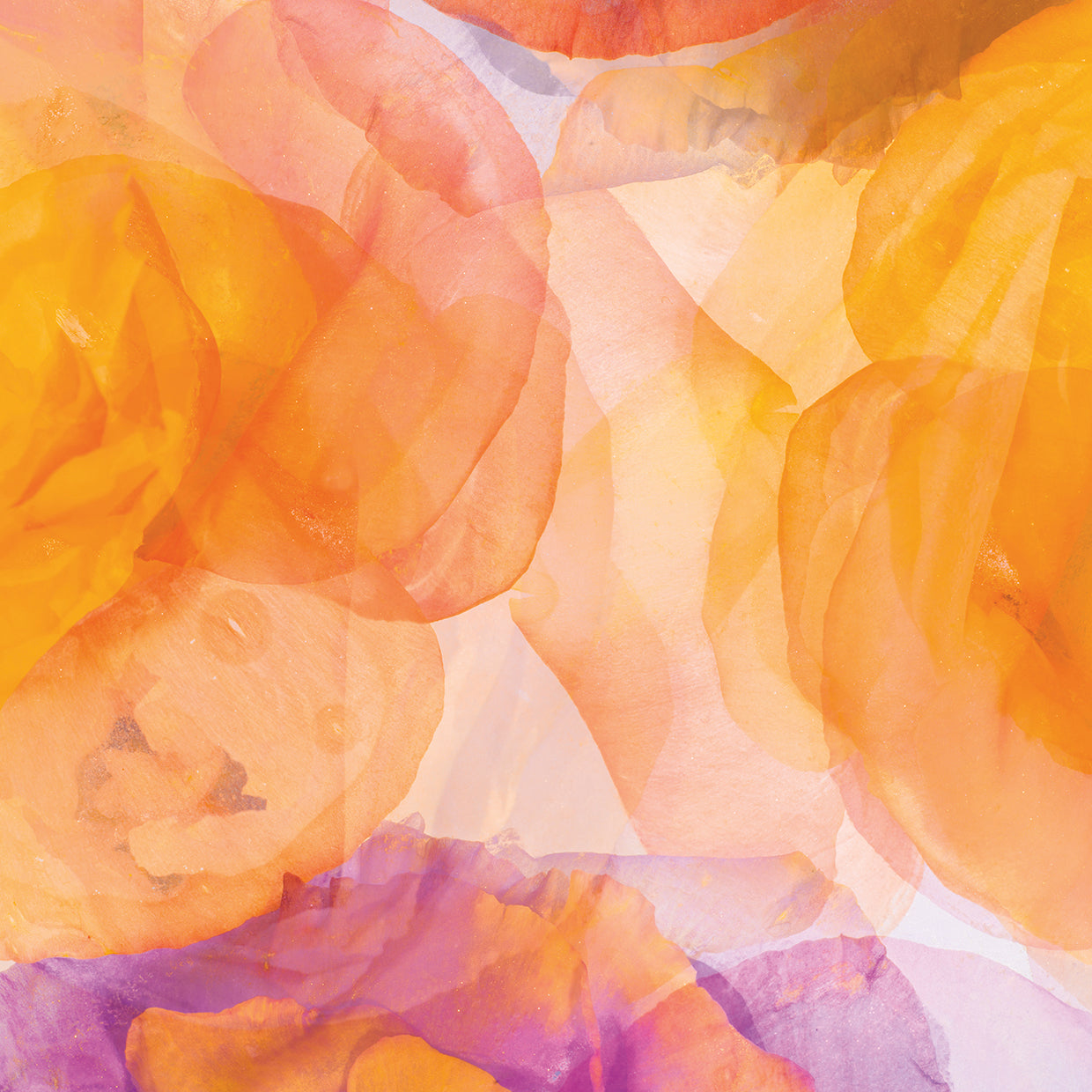 Rosas Compo 5 handcrafted art work on canvas or framed canvas prints by Moises Levy 