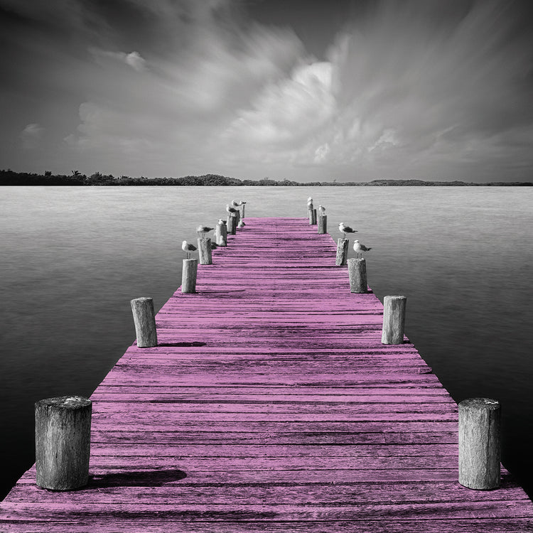 Tierra Desnuda Pop Pink handcrafted art work on canvas or framed canvas prints by Moises Levy 