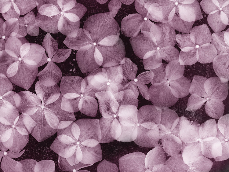 Flores Azules X handcrafted art work on canvas or framed canvas prints by Moises Levy 