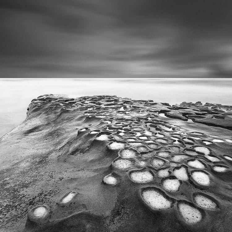 Celulas B&W handcrafted art work on canvas or framed canvas prints by Moises Levy 