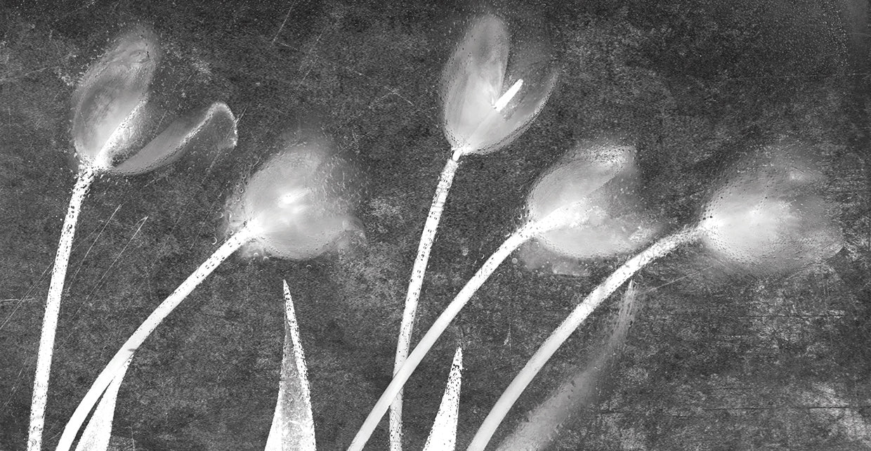 Flores Congeladas # 13 handcrafted art work on canvas or framed canvas prints by Moises Levy 
