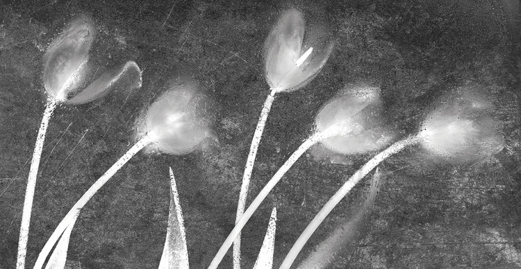 Flores Congeladas # 13 handcrafted art work on canvas or framed canvas prints by Moises Levy 