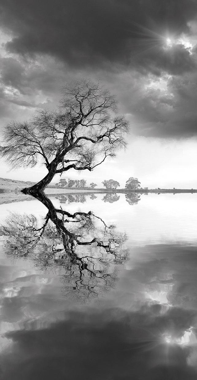 New Beginning Reflect