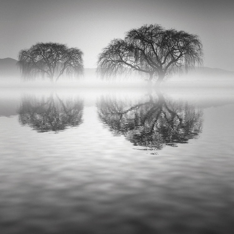 Sauces 1 handcrafted art work on canvas or framed canvas prints by Moises Levy 