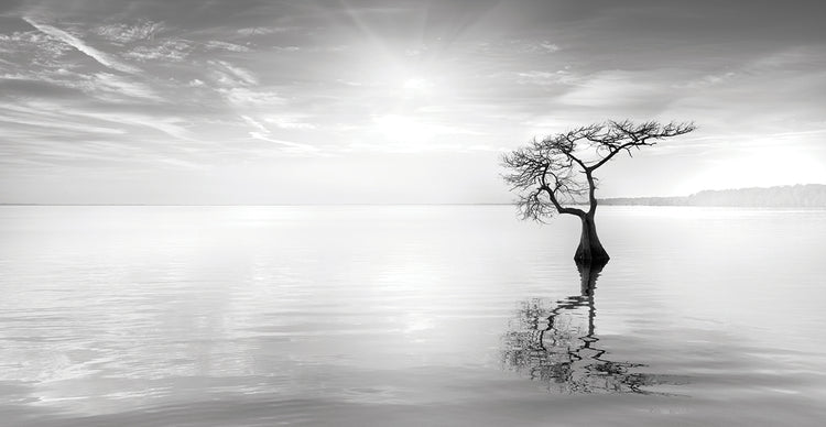 Judge II handcrafted art work on canvas or framed canvas prints by Moises Levy 