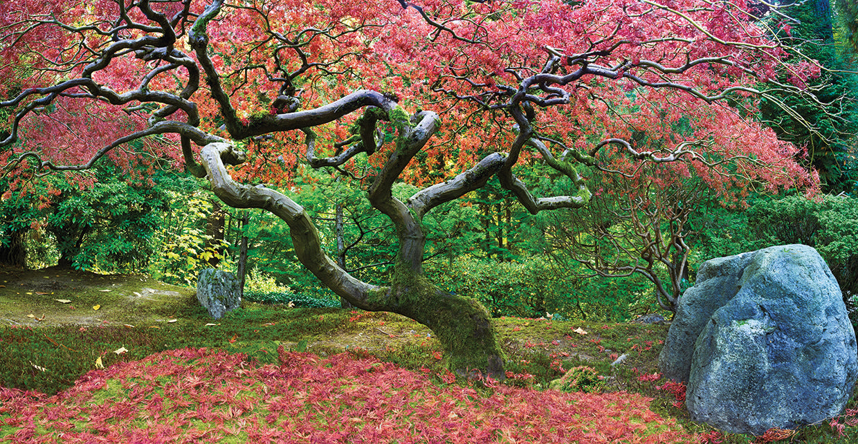 Pink Tree handcrafted art work on canvas or framed canvas prints by Moises Levy 