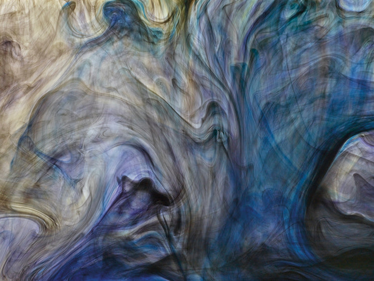 Ephemeral Beauty 1 handcrafted art work on canvas or framed canvas prints by Moises Levy 