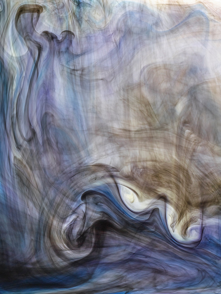 Ephemeral Beauty 2 handcrafted art work on canvas or framed canvas prints by Moises Levy 