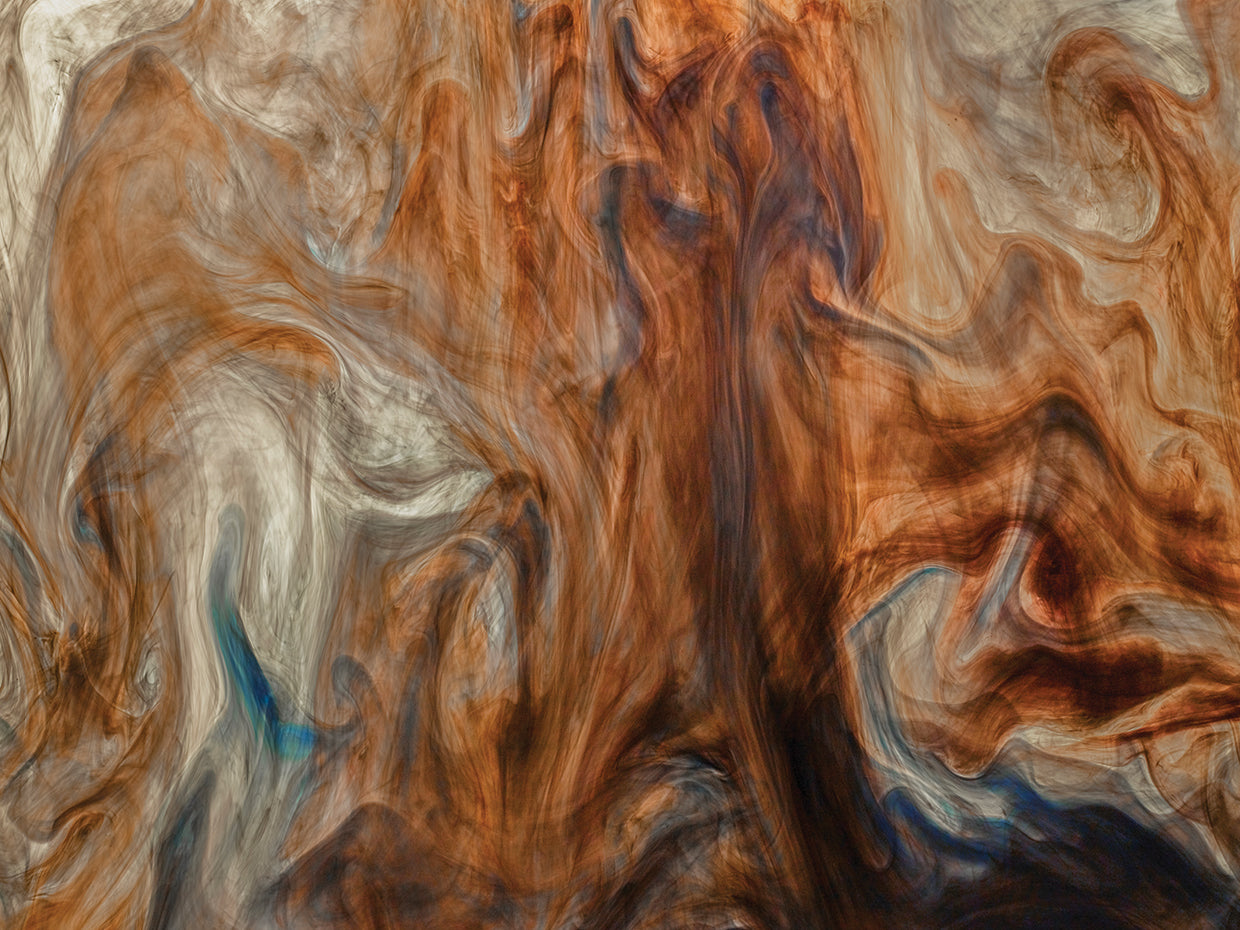 Ephemeral Beauty 10 handcrafted art work on canvas or framed canvas prints by Moises Levy 
