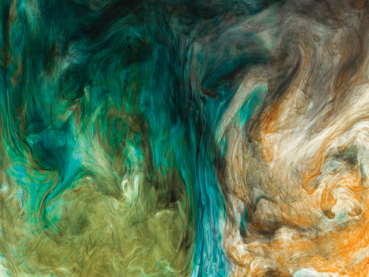 Ephemeral Beauty 15 handcrafted art work on canvas or framed canvas prints by Moises Levy 