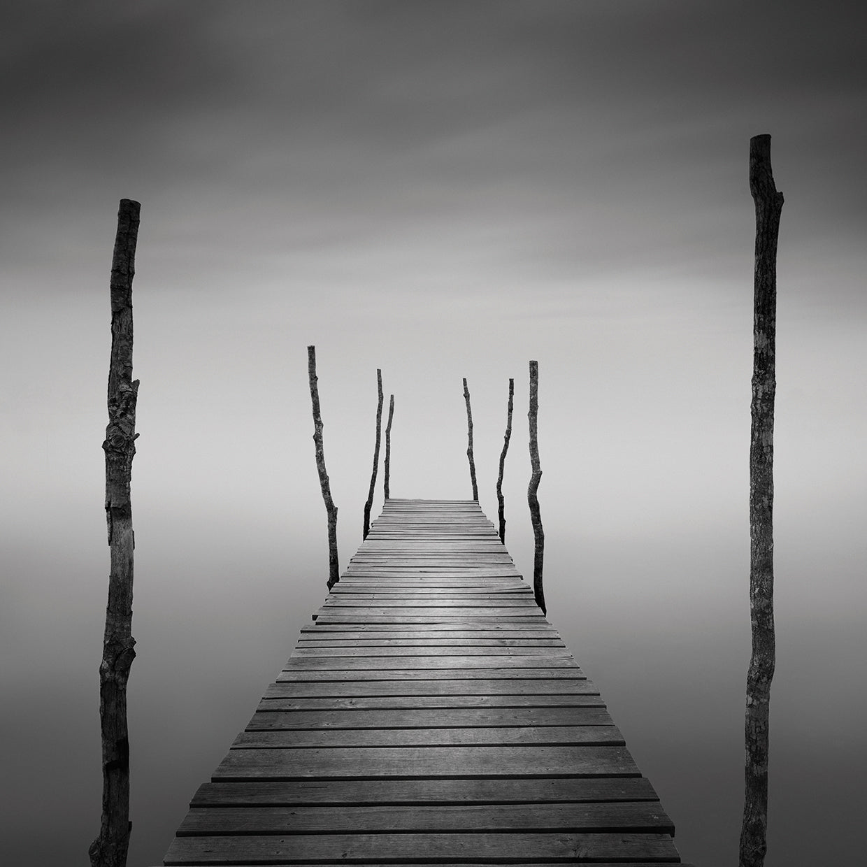 Destiny 5 handcrafted art work on canvas or framed canvas prints by Moises Levy 