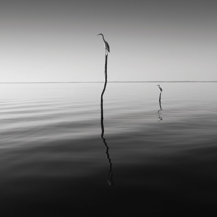 Father And Son handcrafted art work on canvas or framed canvas prints by Moises Levy 