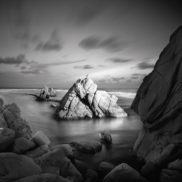 Destiny 2 handcrafted art work on canvas or framed canvas prints by Moises Levy 