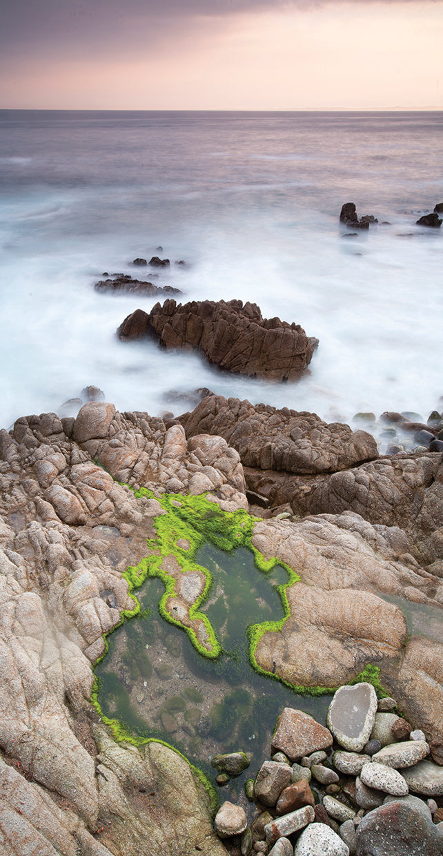 Monterey handcrafted art work on canvas or framed canvas prints by Moises Levy 