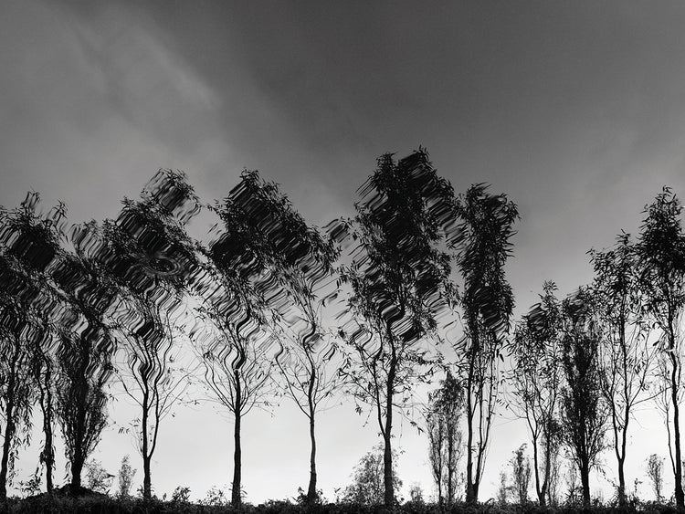 Xochimilco handcrafted art work on canvas or framed canvas prints by Moises Levy 