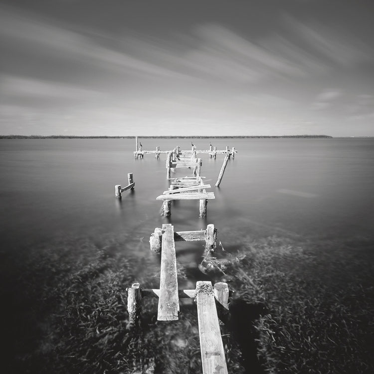 After Wilma handcrafted art work on canvas or framed canvas prints by Moises Levy 