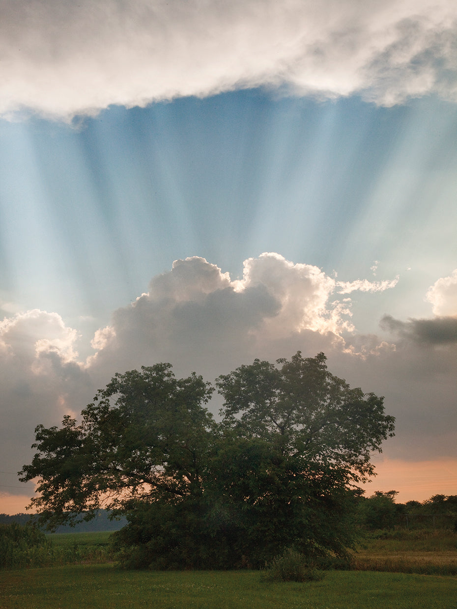 Evening Sunbeams, Sturgis, Michigan ‘10