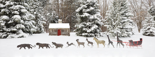 Sleigh in the Snow, Farmington Hills, Michigan ‘09 Canvas Art