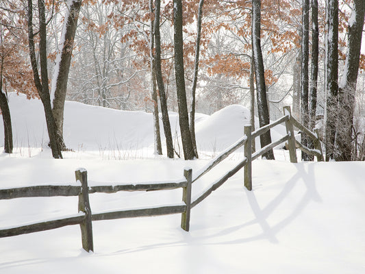 Winter Fence & Shadow, Farmington Hills, Michigan ‘09 Canvas Print