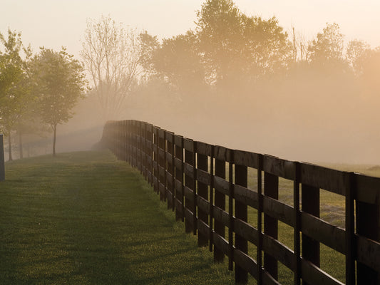 Morning Mist & Fence, Kentucky 08 Canvas Art